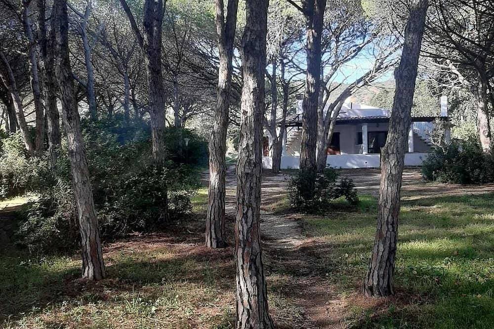 Villa Among the Pines - Near the Sea, Matta and Peru, Budoni - Sassari 1