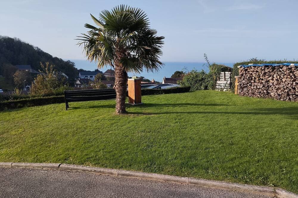 Foto 9 von 12: Gite Le Palmier, sea view beach 300 m