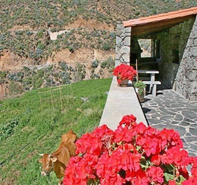 Casa rural El Coronel 1