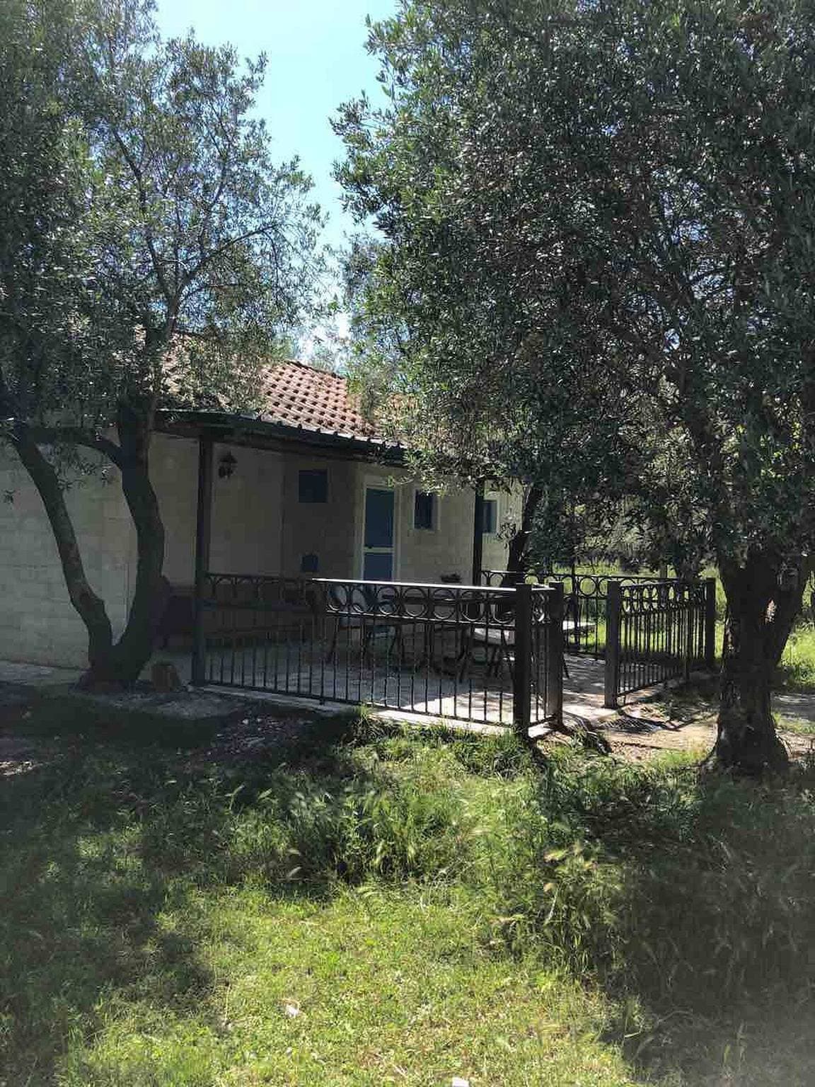 Foto 10 von 17: Rajana Bungalow 2 (Olivenhaus)