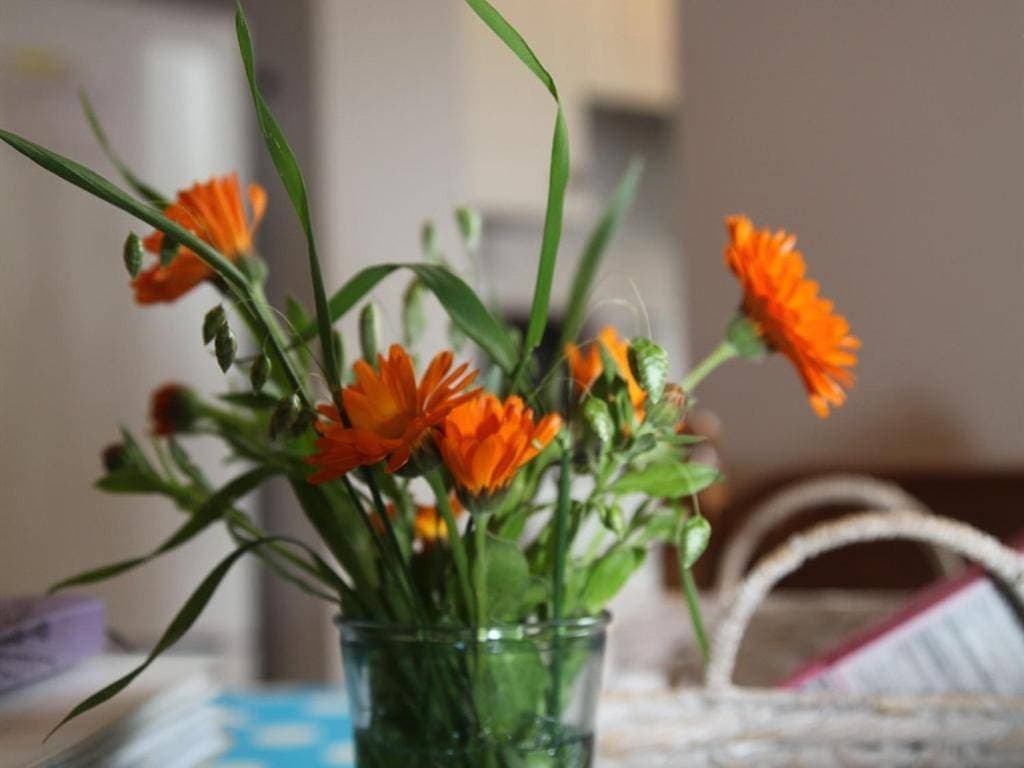 Foto 13 von 31: Holiday Home