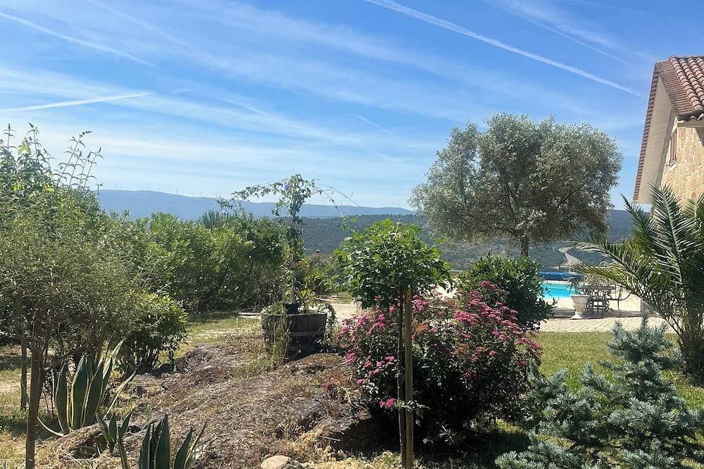 Beautiful house among the vineyards 1