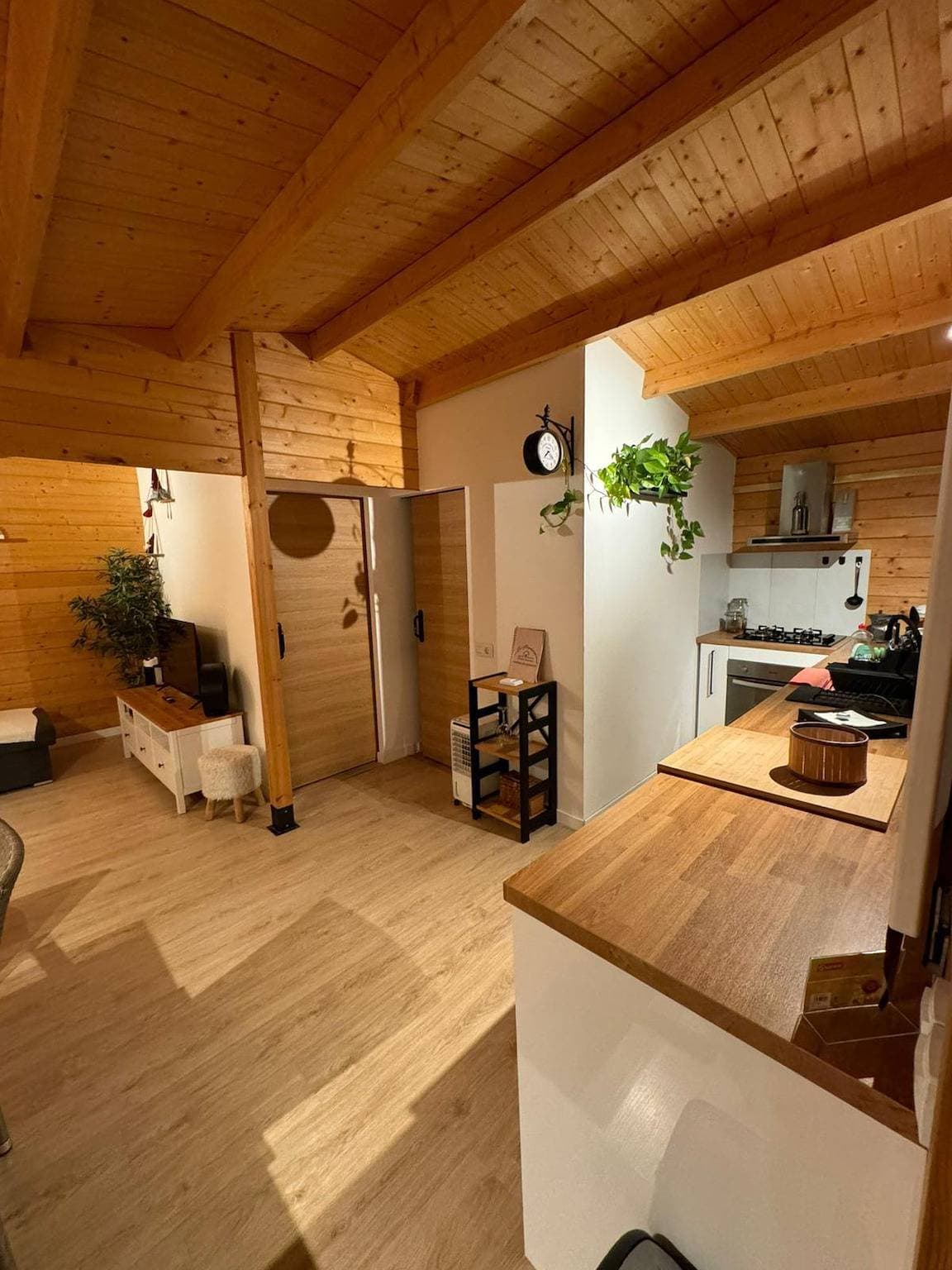 Foto 10 von 29: Ferienwohnung für 3 Personen mit Garten