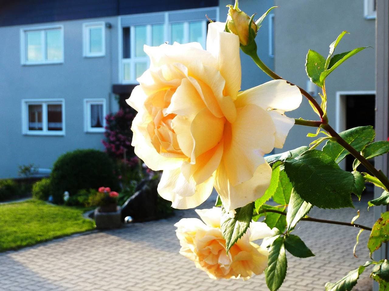 Foto 4 von 31: Ferienhof Obertennersreuth Lukas Feulner - Ferienwohnung Wiesenblick