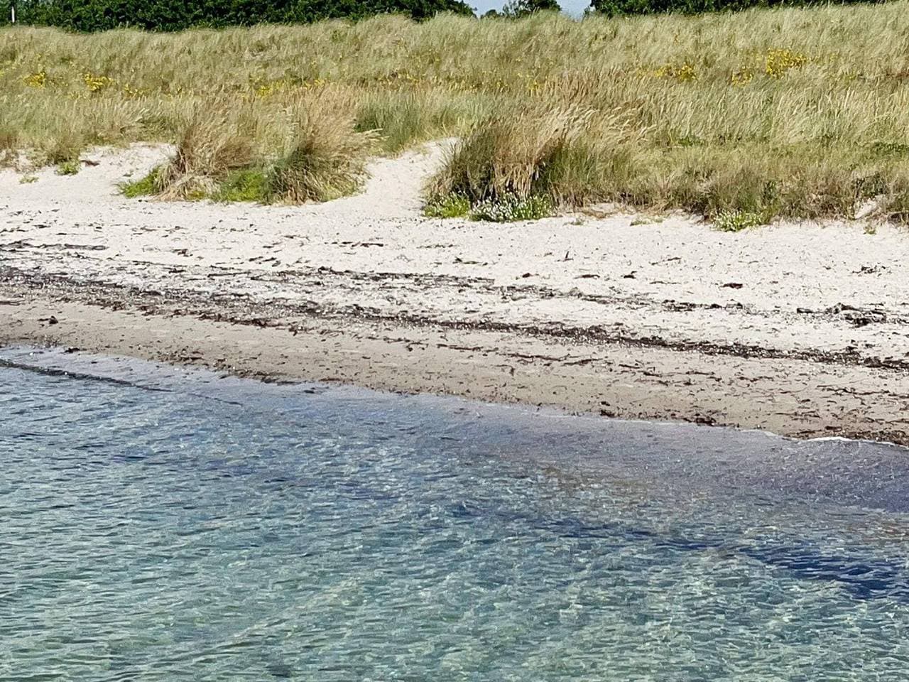 Foto 13 von 56: 10 Personen Ferienhaus in Dannemare