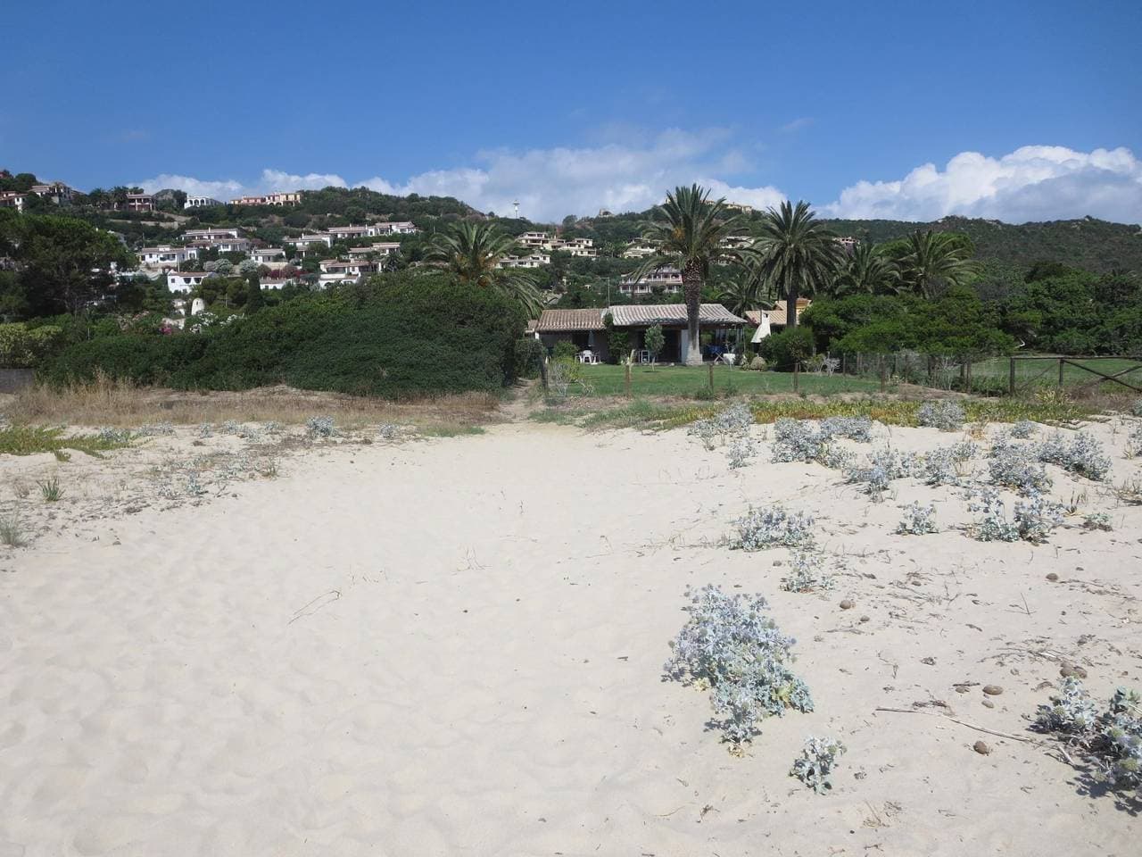 Foto 6 von 38: Palma direkt am Meer