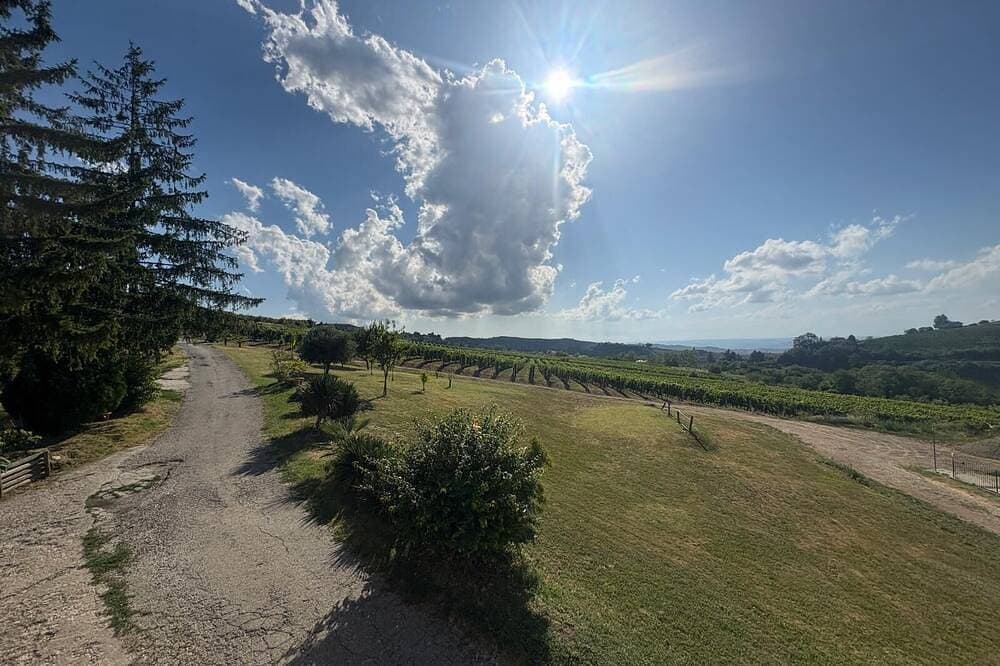 Langhe da Cartolina Accommodation with 6 beds plus a crib. 1