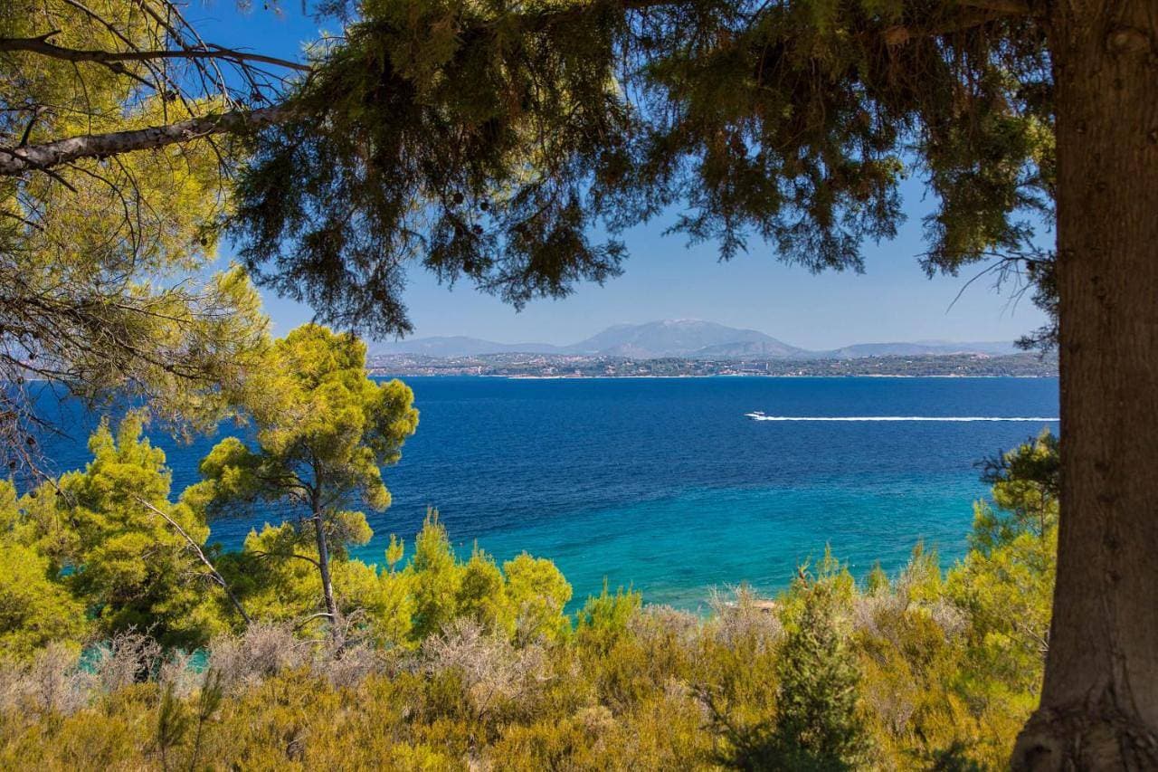 Foto 13 von 23: Argonaftis Spetses