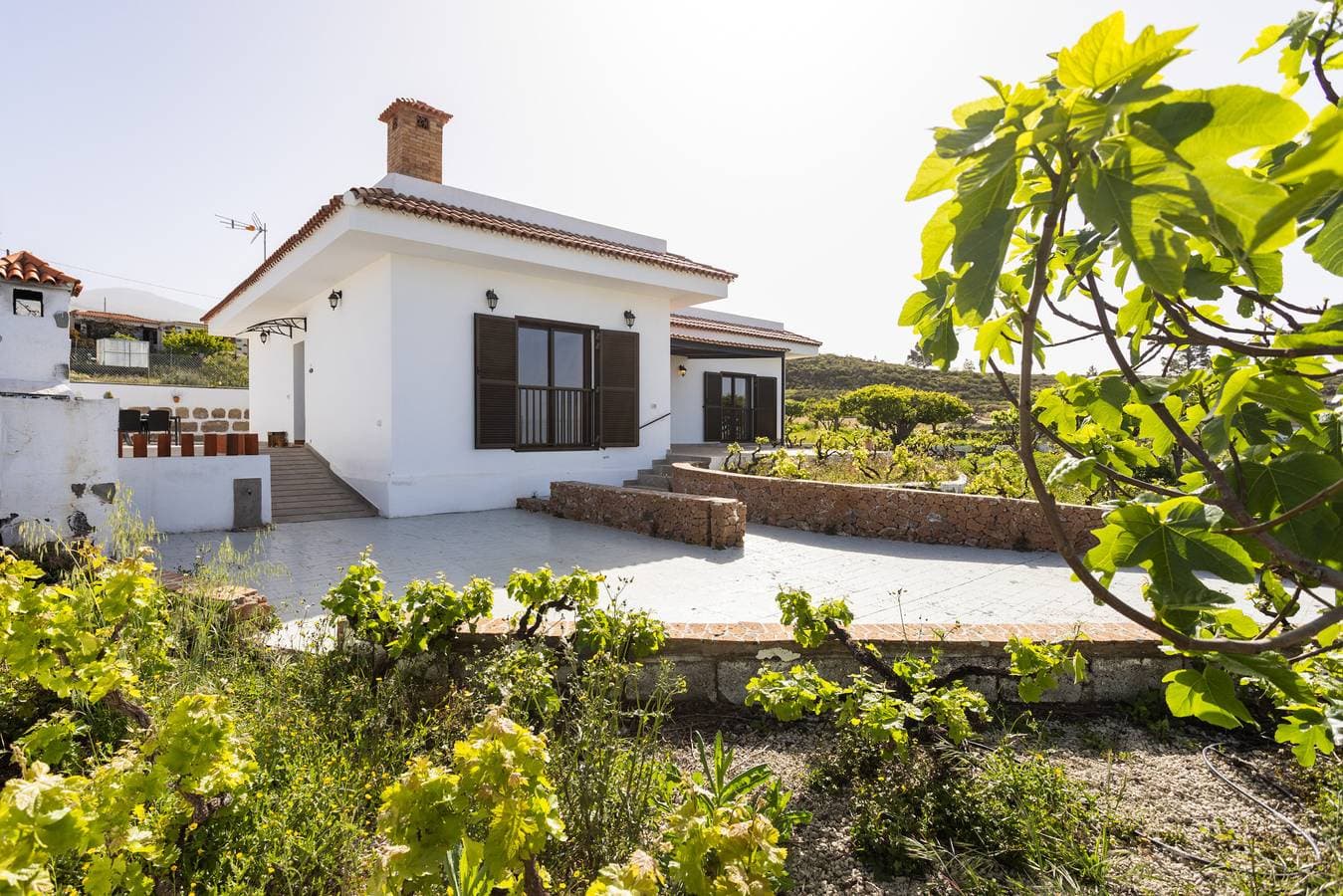 Live Adeje Taucho Relax Place with Terrace 1