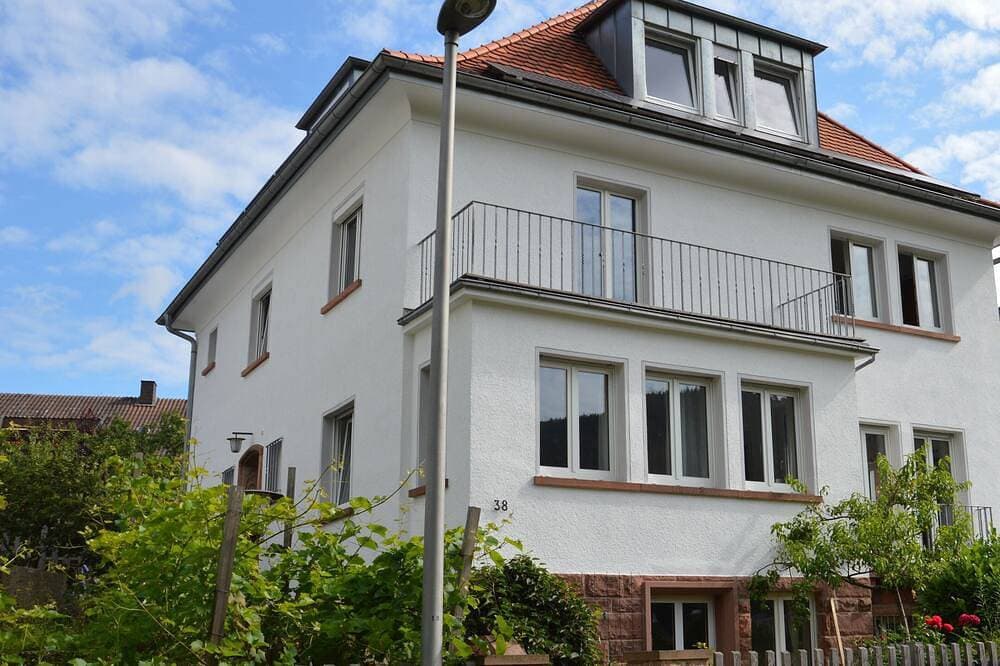 Foto 11 von 23: Panorama-Blick Miltenberg, 3 Pers., zentral, am Main, Terrasse, Bootverleih, P