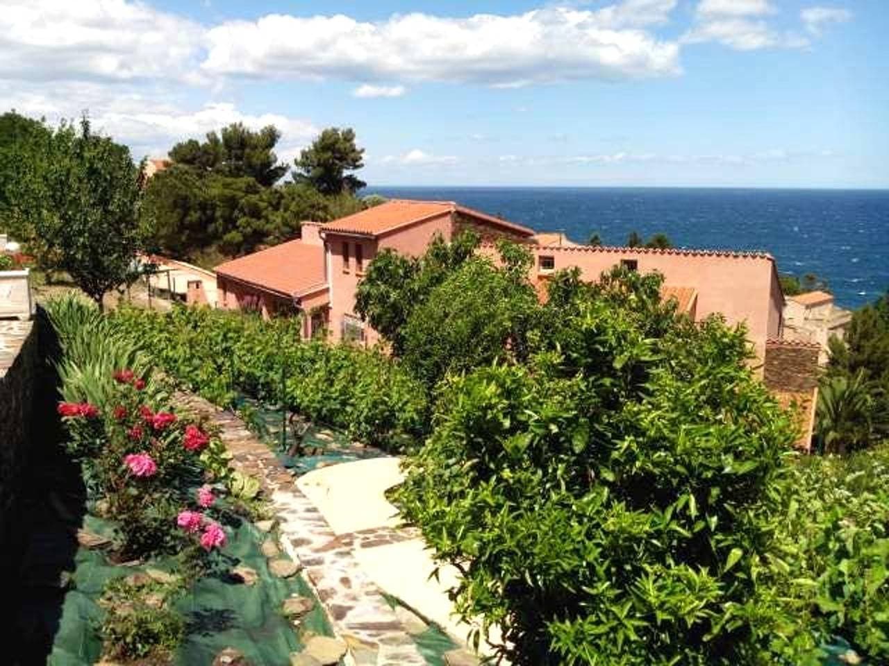 Foto 2 von 20: Helles Apartment in Collioure mit Terrasse und Meerblick