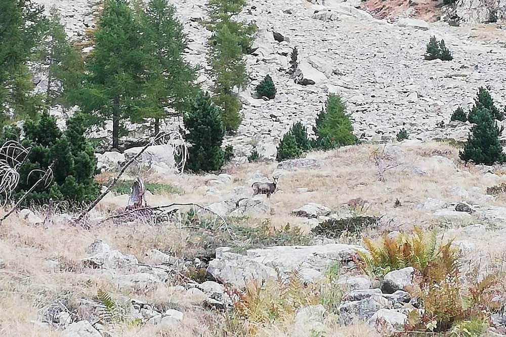 Foto 13 von 14: Gites de la Brasca Maison 60m2, Avec vue Imprenable du Massif du Mercantour