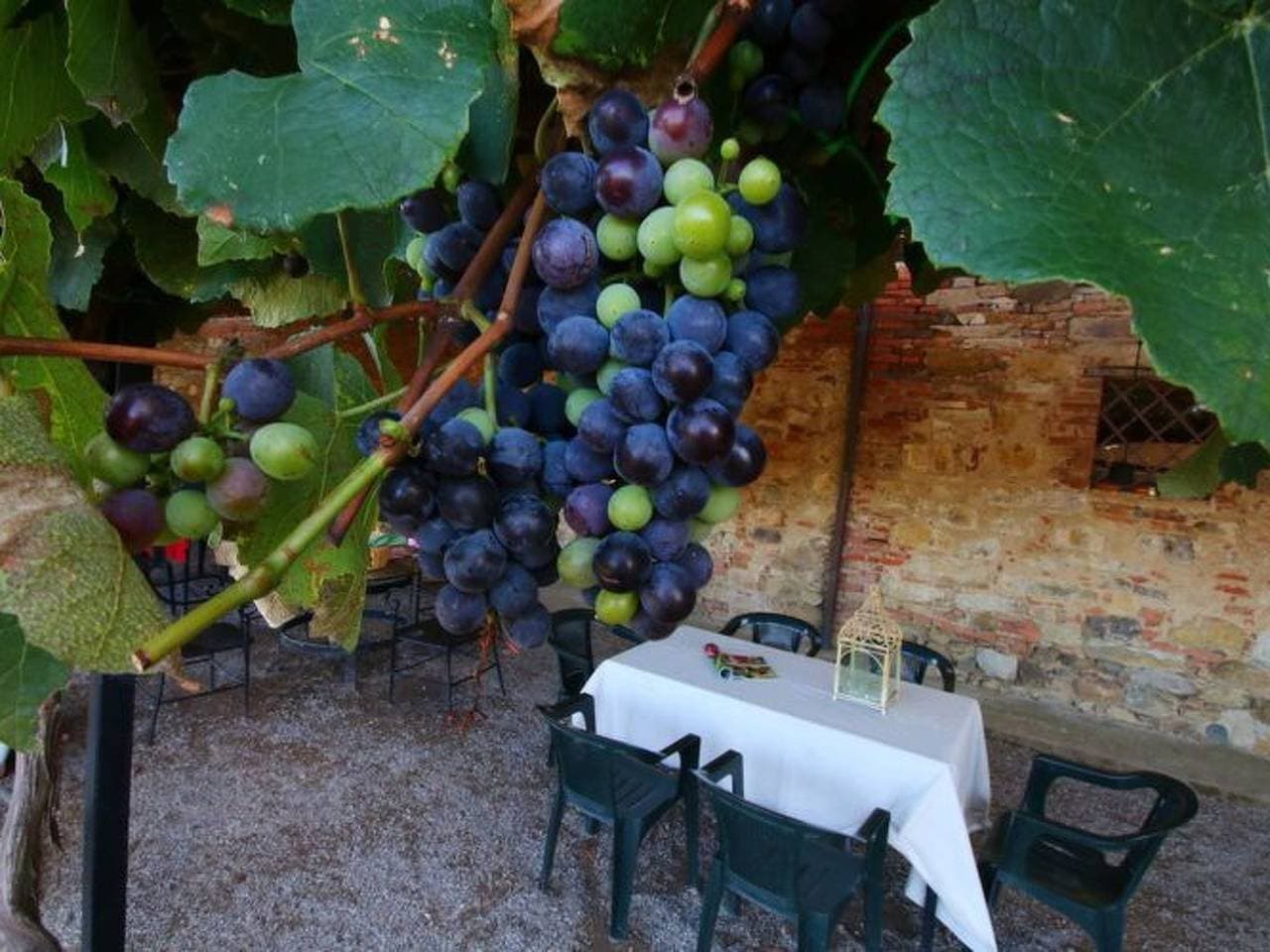Wohnung in Castiglione Del Lago mit Terrasse, Garten und Grill 1