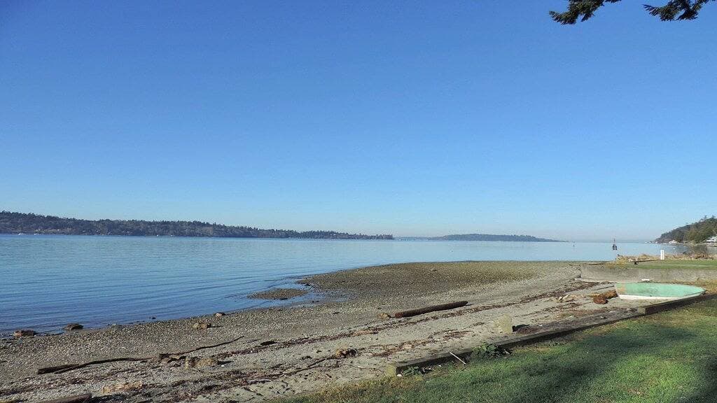 Foto 11 von 15: Wolf Glen: Gemütliche Hütte nahe dem Strand auf Vashon!
