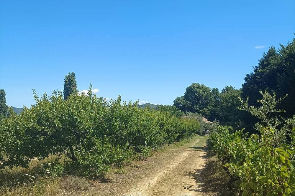 Foto 11 von 21: Gîte \"Le Rosier\" Le Mas Des Charrettes