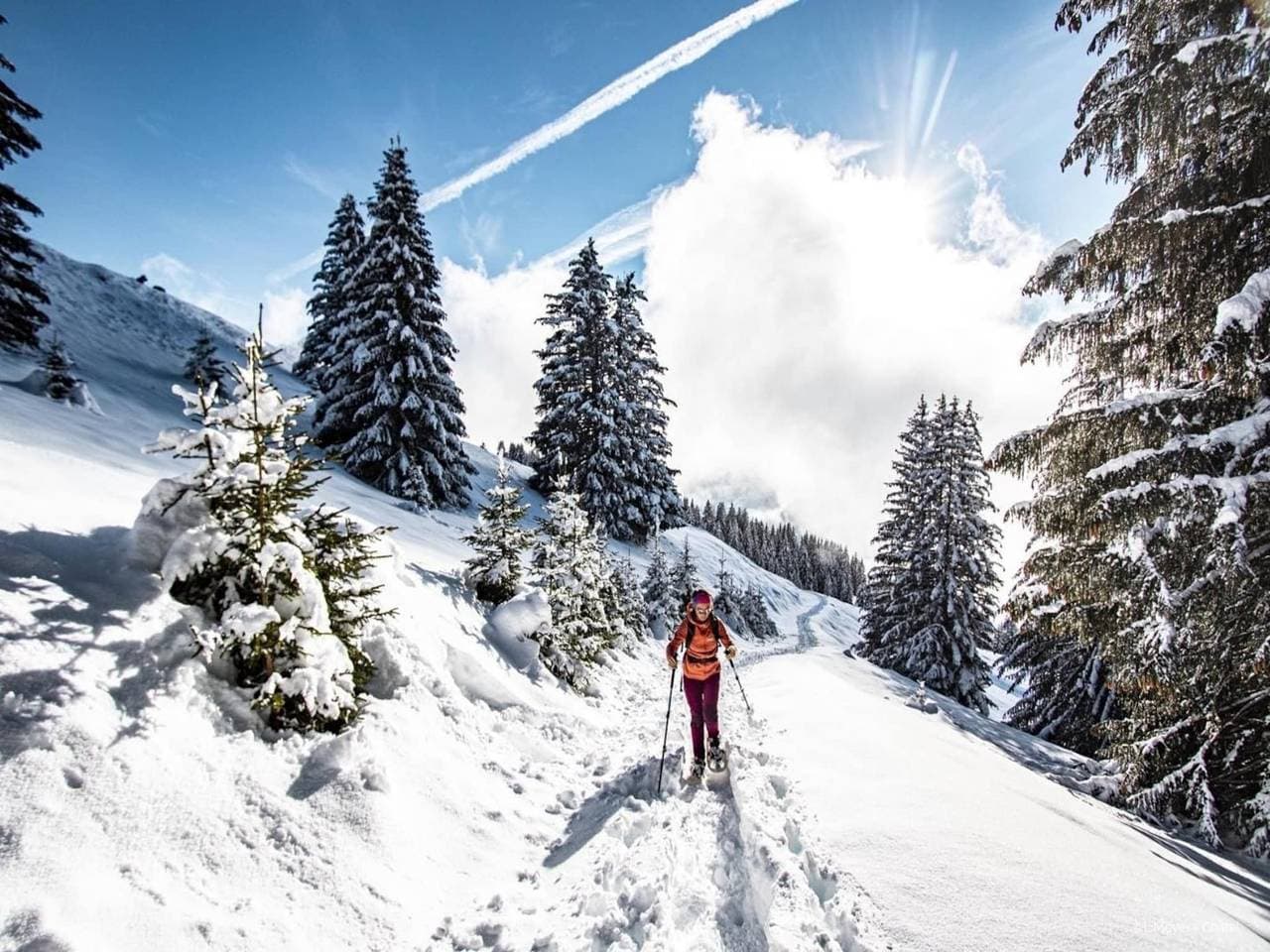 Foto 7 von 15: Wohnung in der Nähe des Skigebiets in Chatel