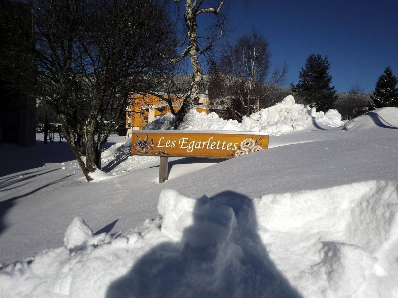 Foto 4 von 36: Les Chamois - 3***