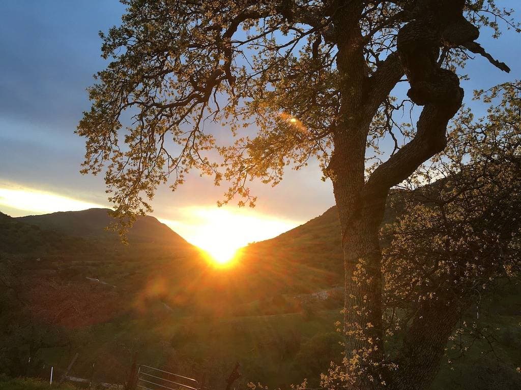Foto 10 von 48: Off-Grid Rv 🏕 - Be Adventurous, Come Stay With Us and Live Off-Grid