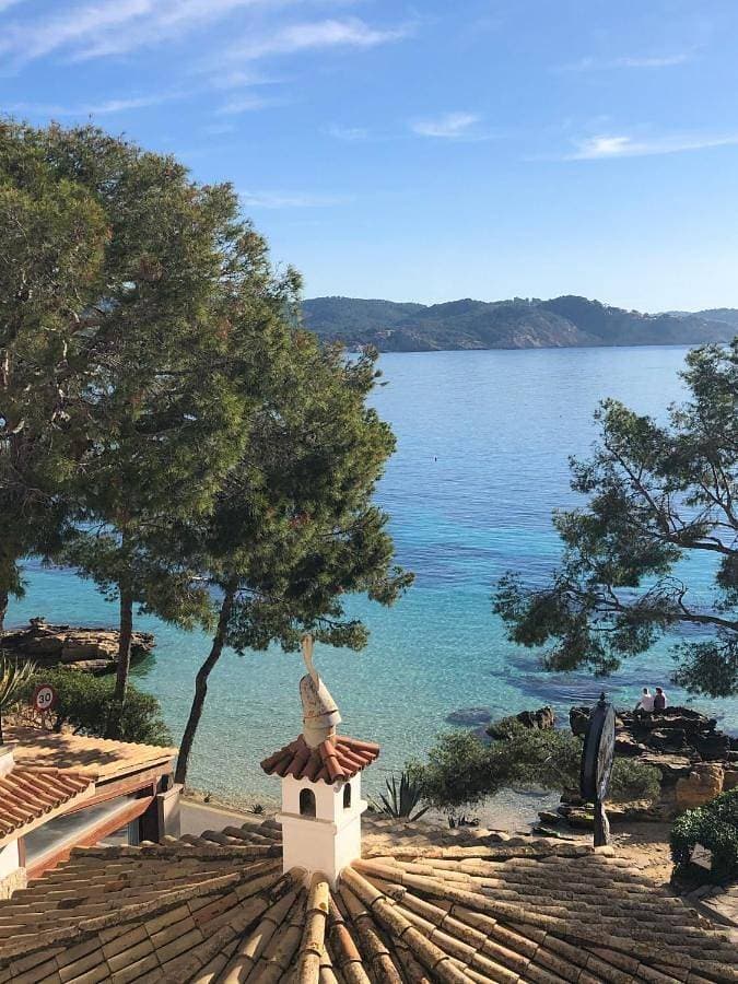 Foto 7 von 55: Hotel Cala Fornells