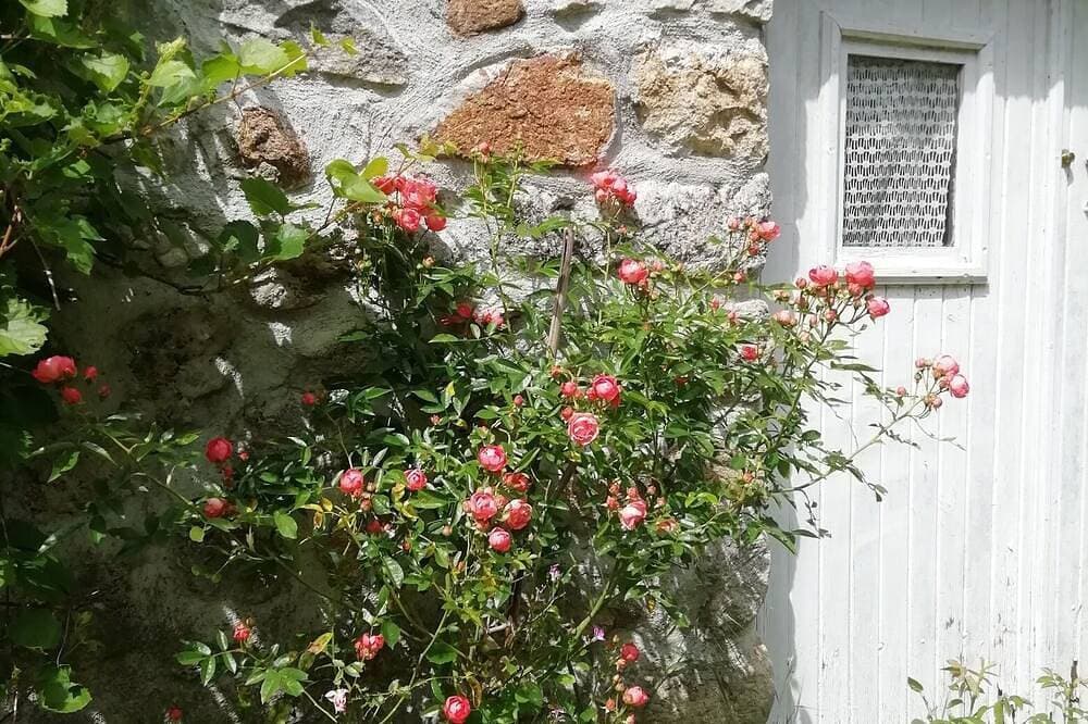 Foto 13 von 30: Maison de Famille Dans Parc de Verdure