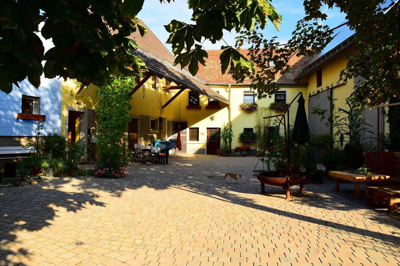 Foto 2 von 9: Ferienhof Seeber - Ferienwohnung Sonnenblume 40qm 1-Zimmerappartement mit Bad