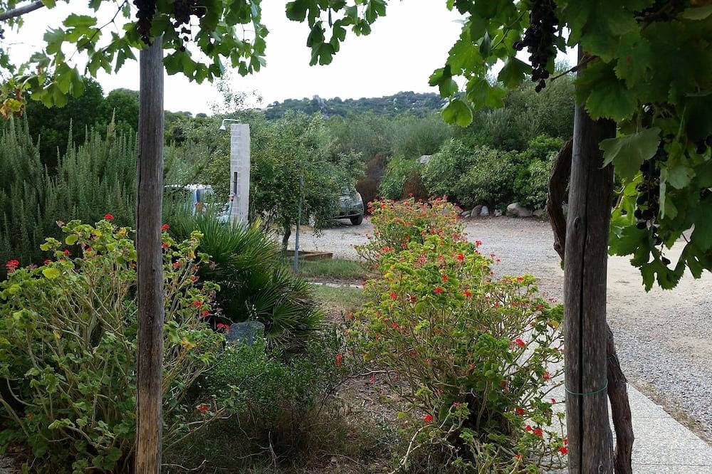 Foto 12 von 30: Ferienhaus mitten in einem Olivenhain und Mittelmeermacchia