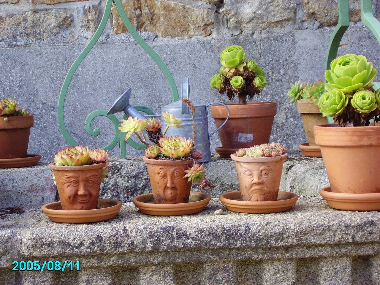 Foto 11 von 24: Gîte de Kersiviant in Audierne – Typisches bretonisches Ferienhaus für 2–4 Personen