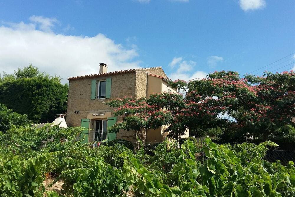 La Vigneraie - Caunette(La) 1