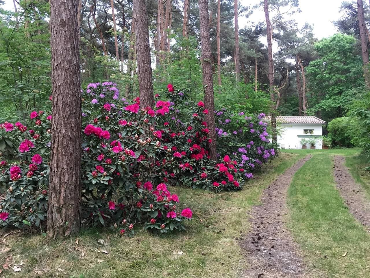 Foto 7 von 40: Gierle Garden Bungalow Escape
