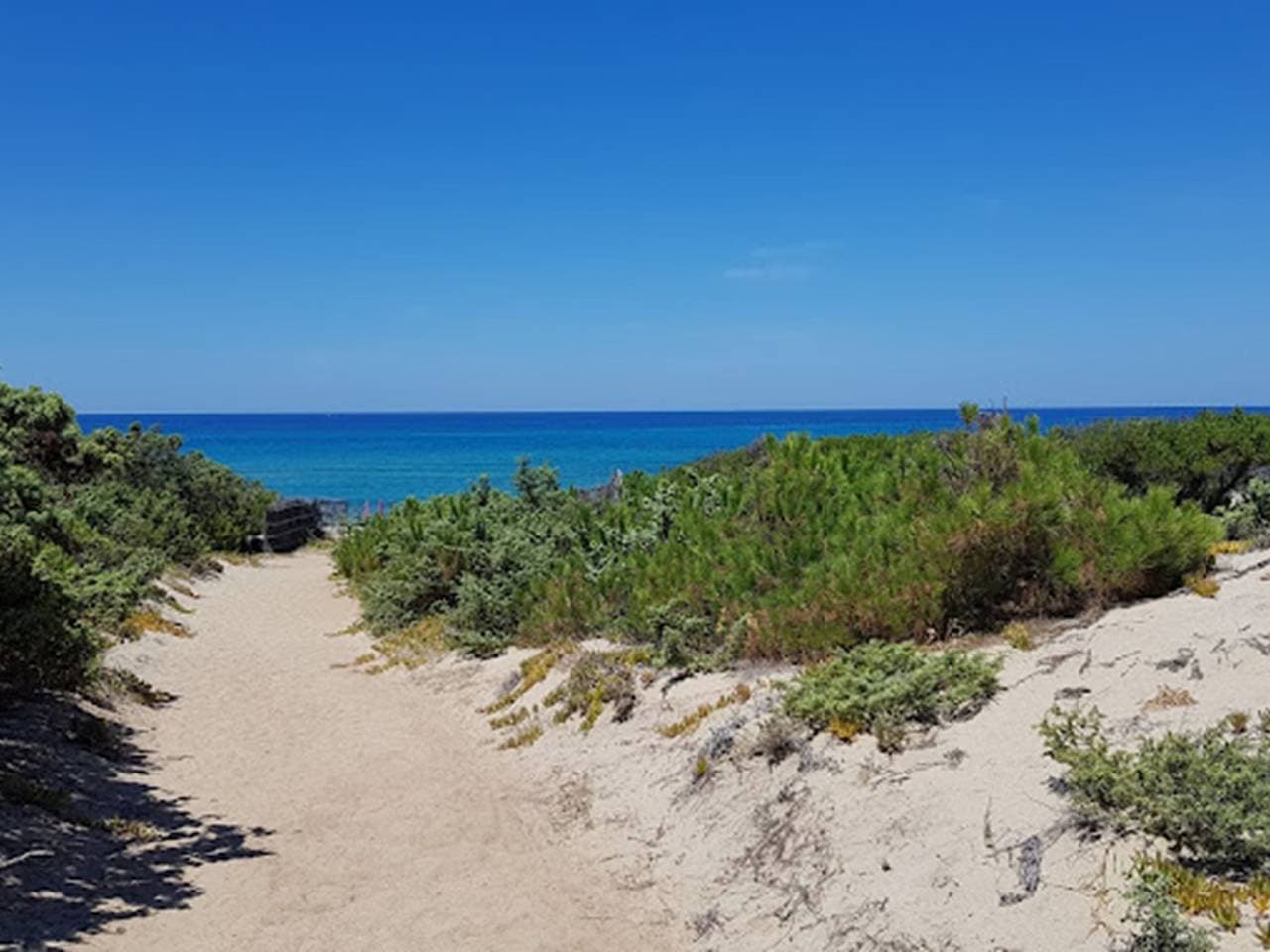 Foto 5 von 44: Camping Baia Paradiso