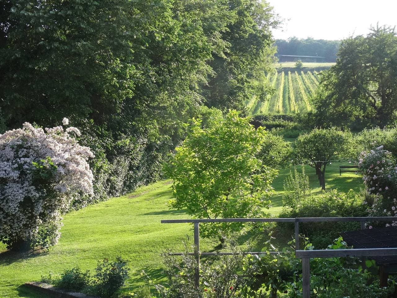 Foto 11 von 24: Apartment 'Bioweingut Hauerhof 99 -1' mit gemeinsamem Garten, Wlan und Klimaanlage