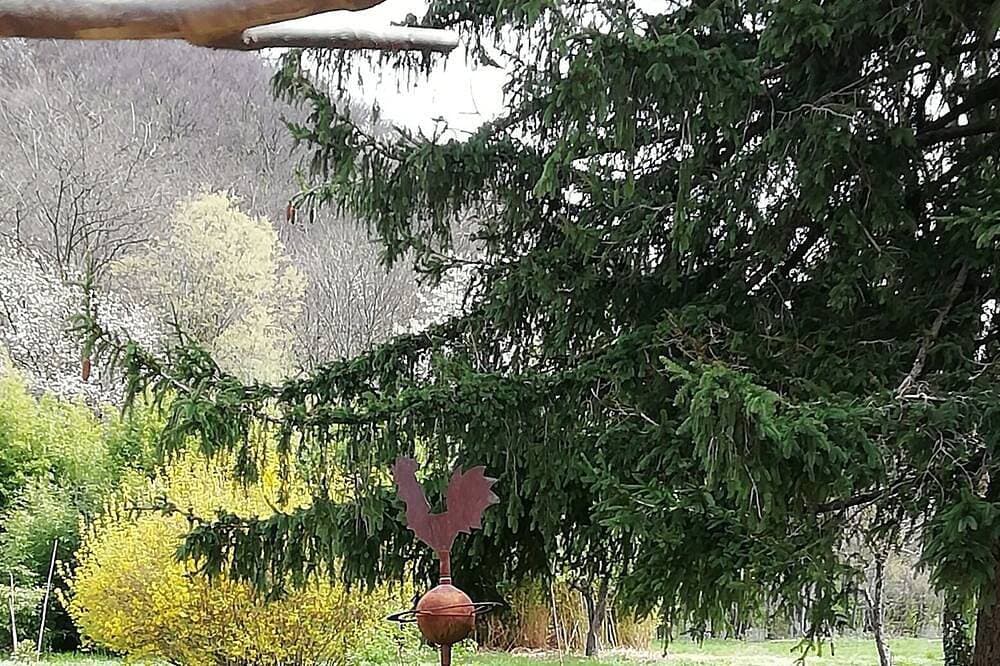 Foto 12 von 30: Maison de Famille Dans Parc de Verdure
