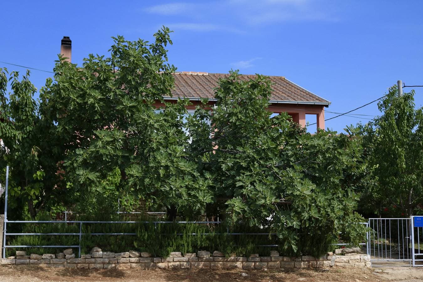Foto 2 von 9: 1-Zimmer-Ferienwohnung mit Terrasse Gornji Karin, Novigrad A-11806-a