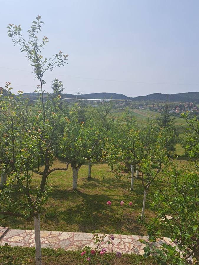 Foto 12 von 35: Jezero