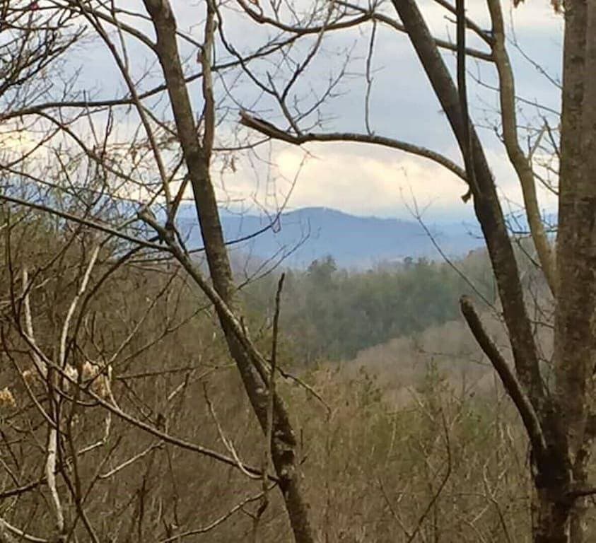 Foto 12 von 30: Cabins at Brush Creek Mtn-Beavers Lodge