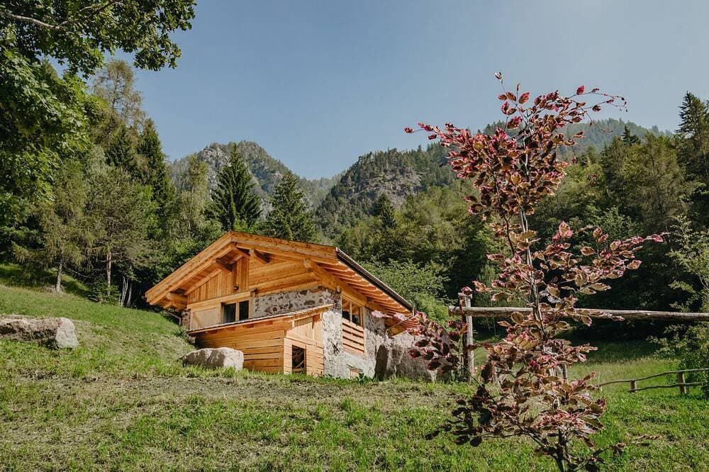 Odomi Maso Im Holz 1