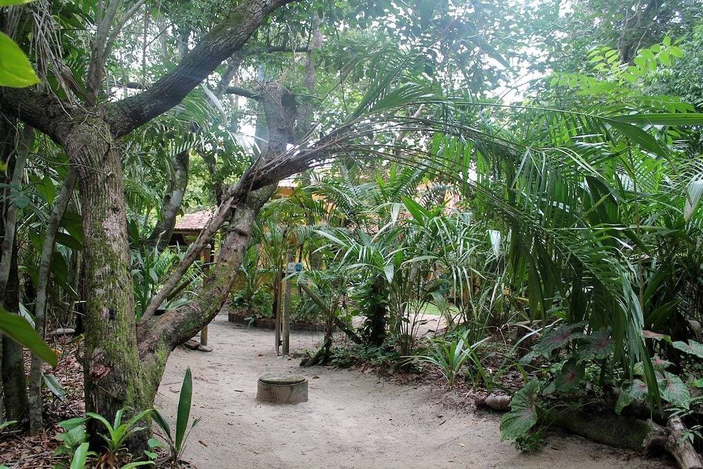 Foto 10 von 29: Traumplatz am Strand von Santo André
