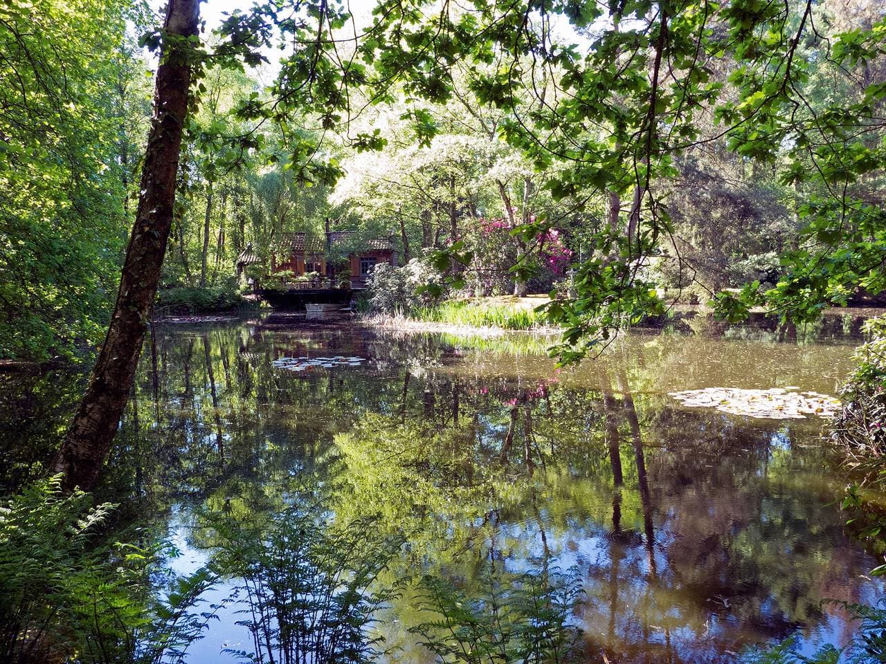 Foto 11 von 40: Fischerhütte, Opglabbeek