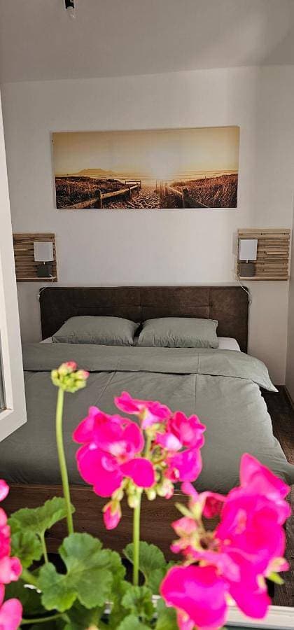 Apartman Pontica 1