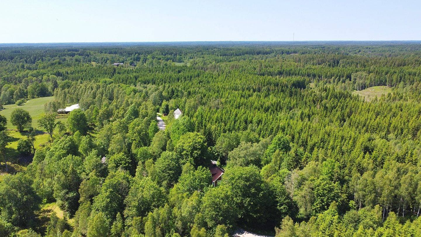 Foto 3 von 81: Torsholma Skolhus – Historisches Schulhaus mit Sauna & Kamin in Småland