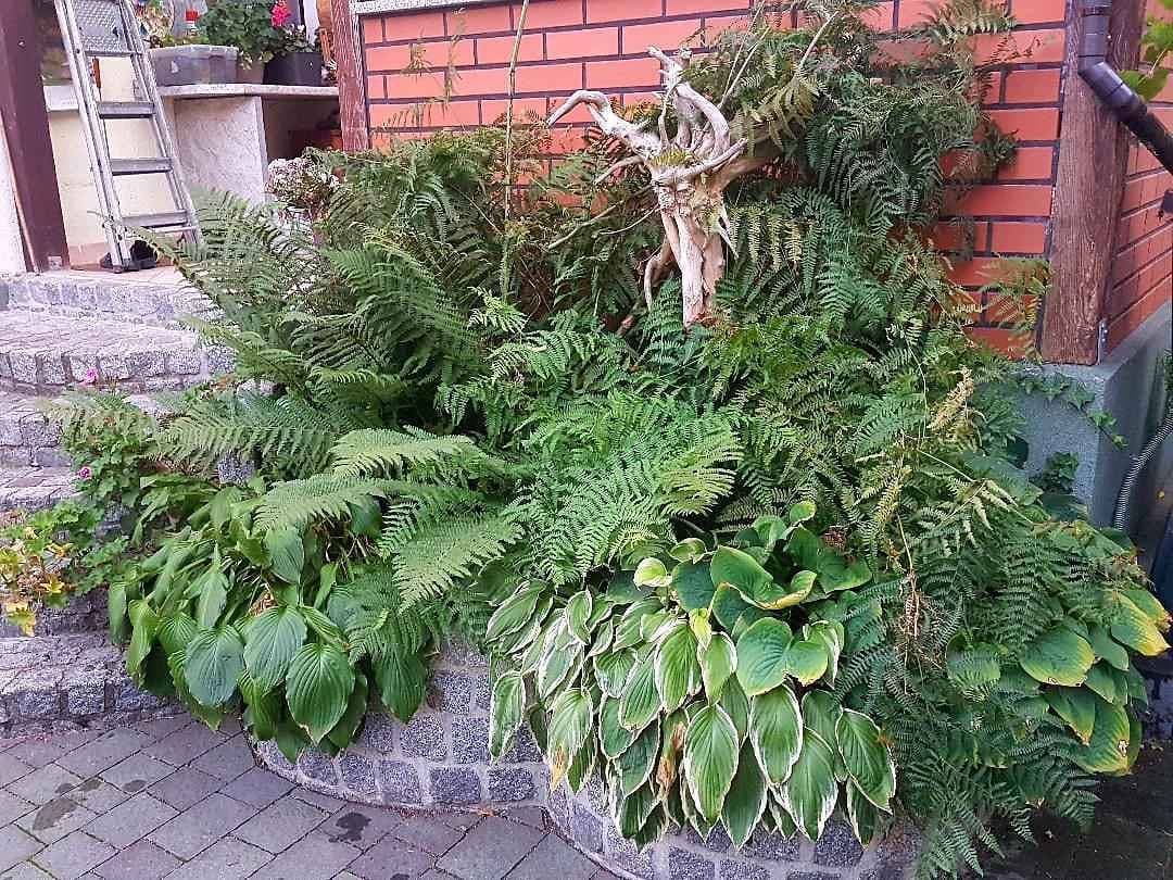 Foto 5 von 33: Ferienhaus mit Garten und eigenem Schwimmbad
