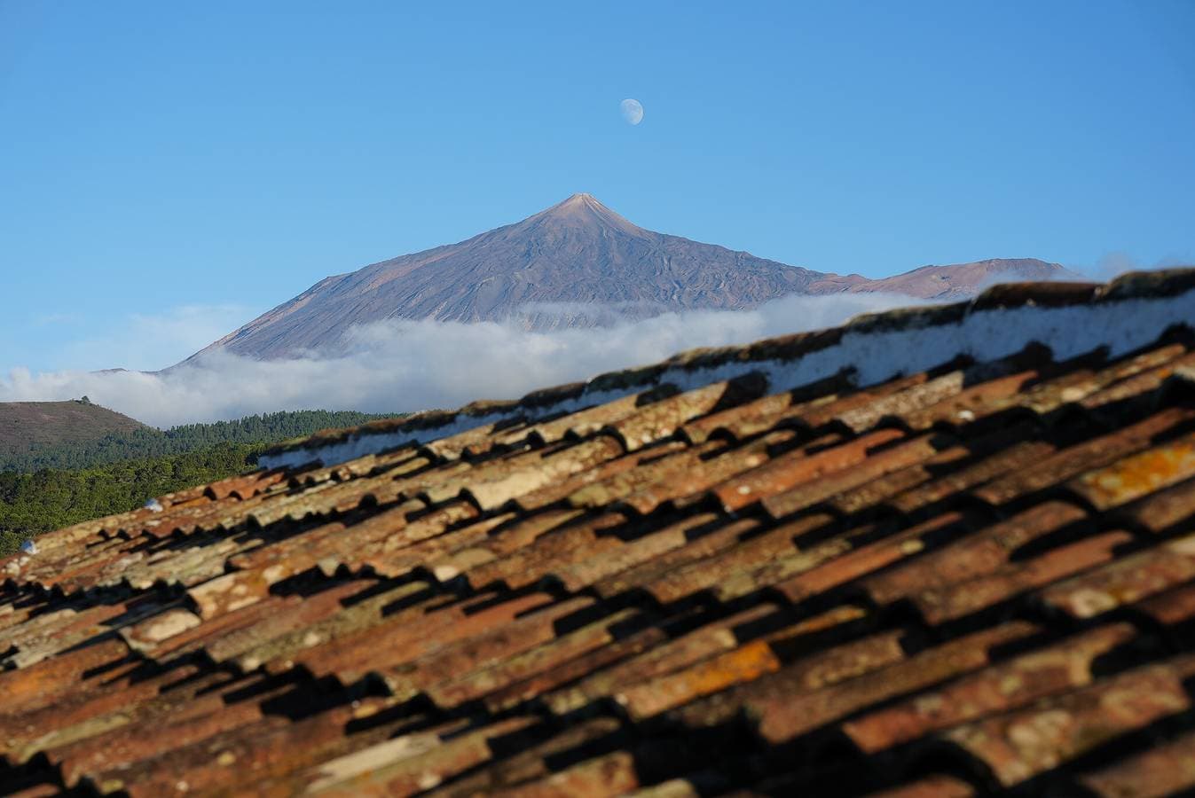 La Paredita Casa Taoro 1