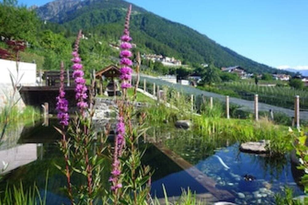 Foto 12 von 16: Ferienwohnung für 2-4 Pers. mit Südbalkon und biologischem Naturbadeteich