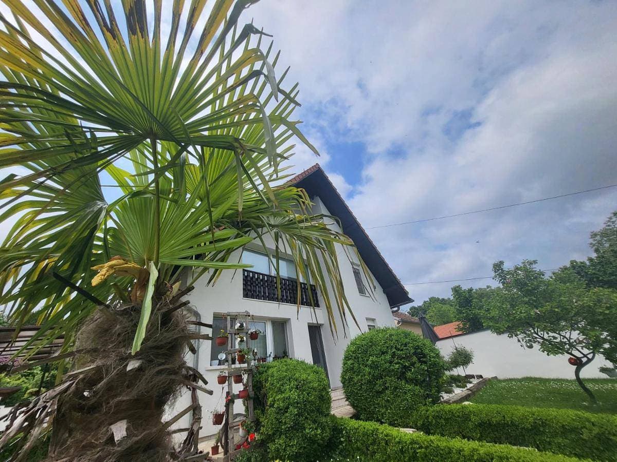 Vila Jovana 1