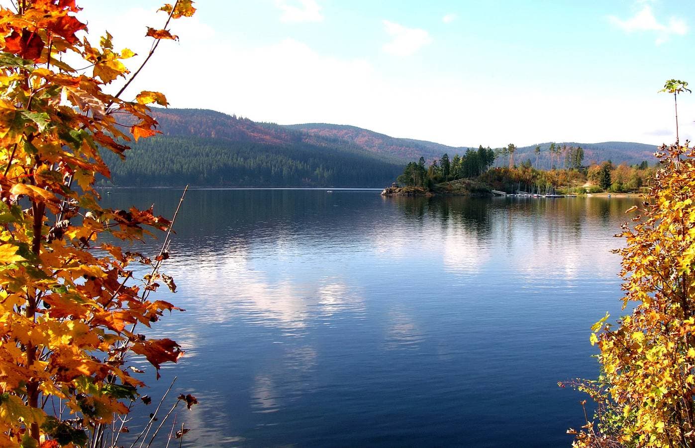 Foto 10 von 25: Fewo Blumbach Nr. 2, Schluchsee, Feldberg