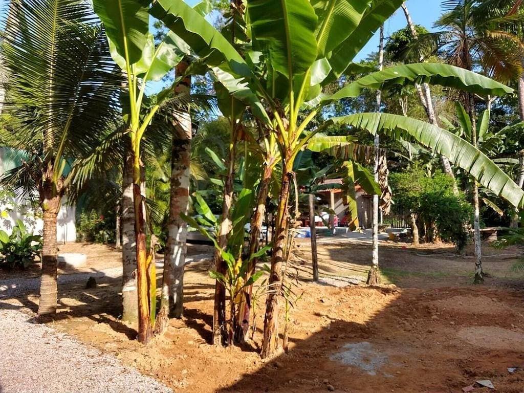 Foto 5 von 14: Suite 3 - Coqueiros Itamambuca
