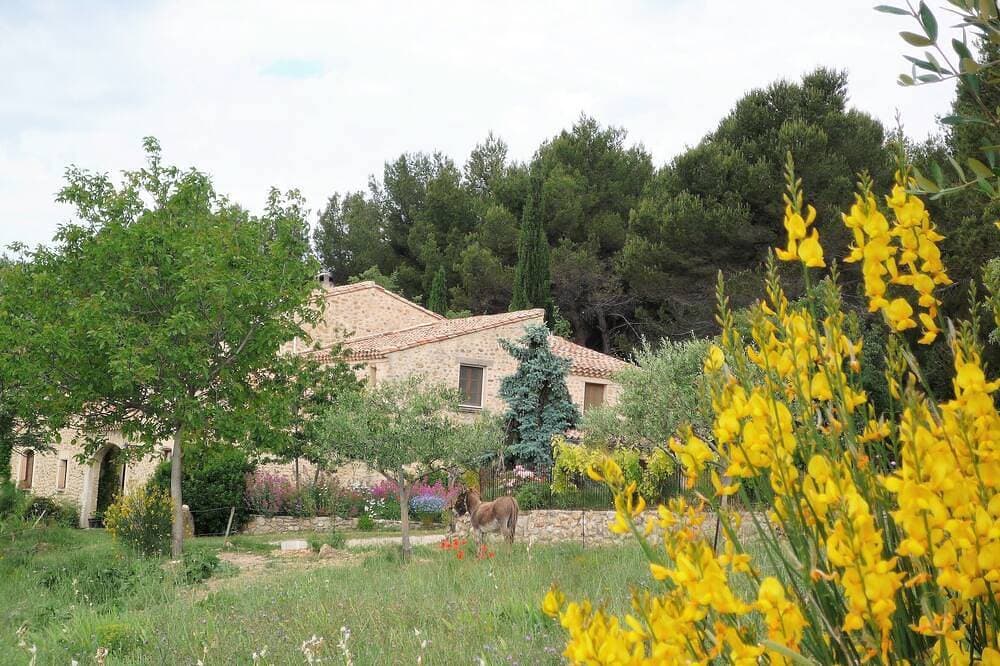 Foto 9 von 24: Drôme-Limit Vaucluse -Gîte mit Pool - Panorama