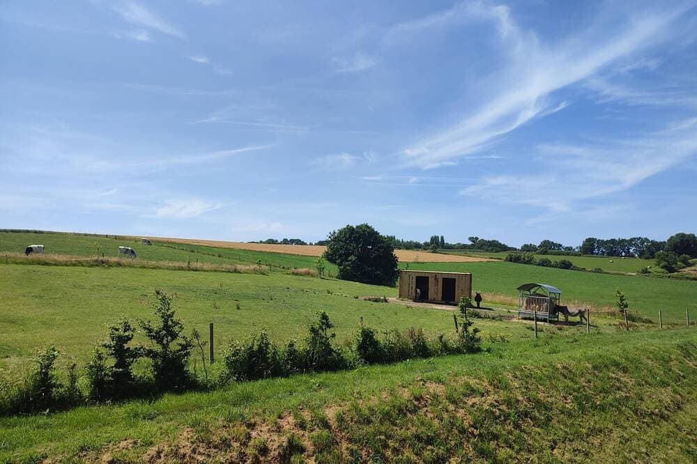 Foto 11 von 30: Gîtes de France® - La P'tite Maison de Papito et Mamito