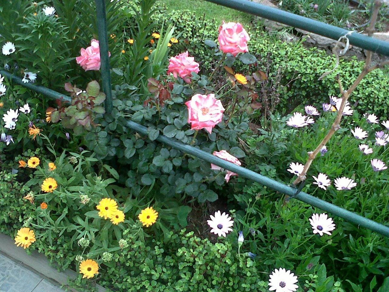 Foto 7 von 16: Holiday Home