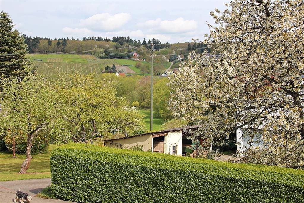 Foto 13 von 21: Ferienwohnung
